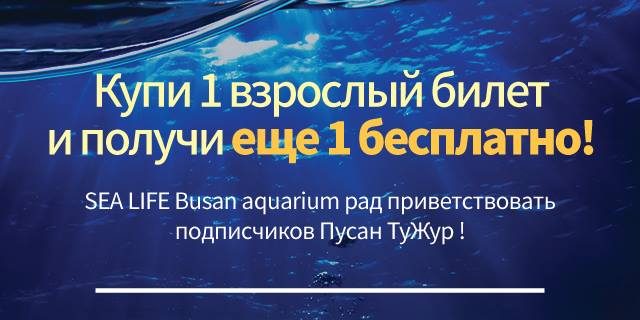 44586002_1087382121429077_7992349567037210624_n