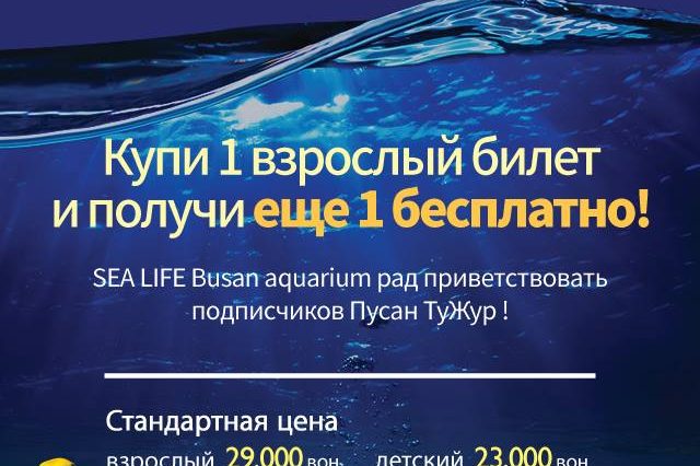 44586002_1087382121429077_7992349567037210624_n