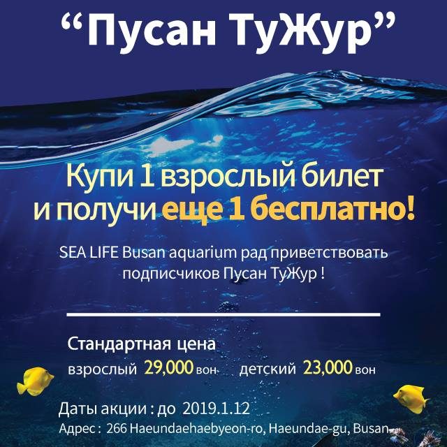 44586002_1087382121429077_7992349567037210624_n