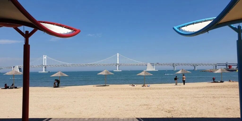 photo6309990944707029614